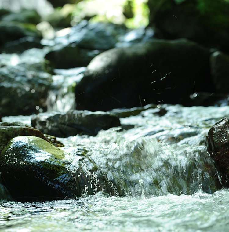 株式会社清修庵